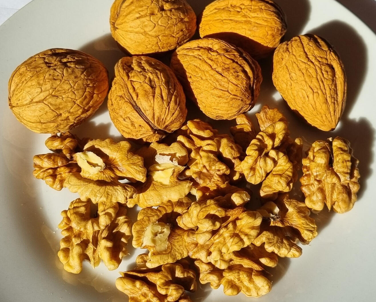 Walnuts in a plate. Some inside their shells.